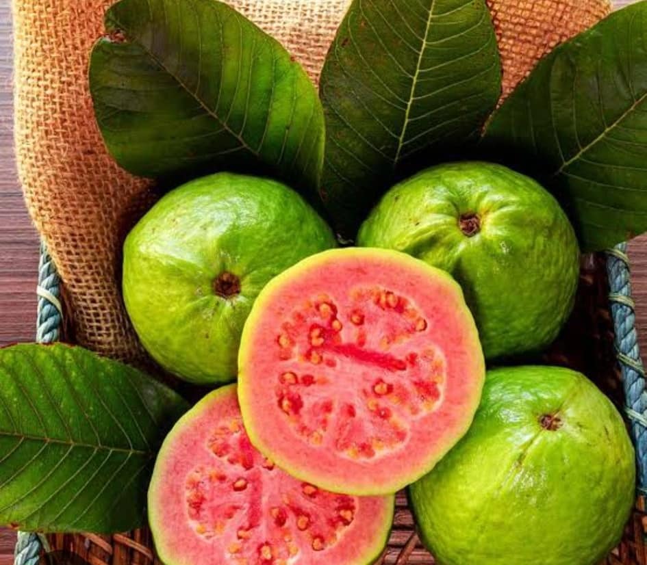 Guava