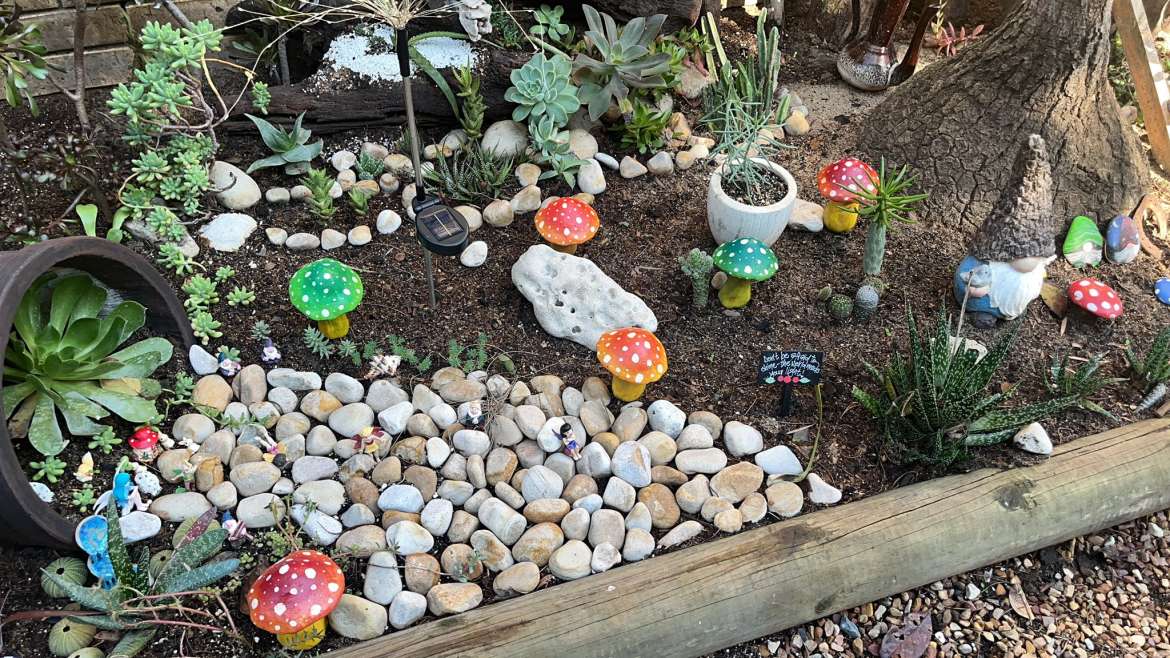 Everything You Need to Know About Mushrooms Growing in Garden Soil