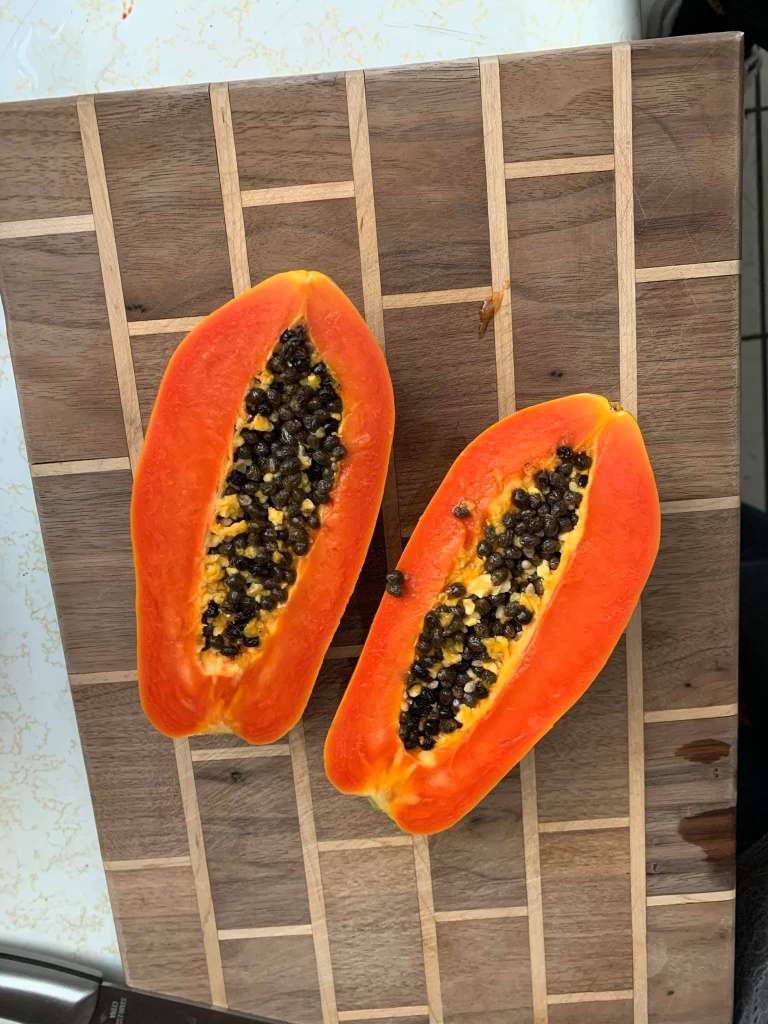 Papaya