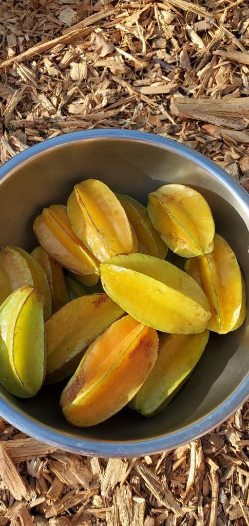 Starfruit