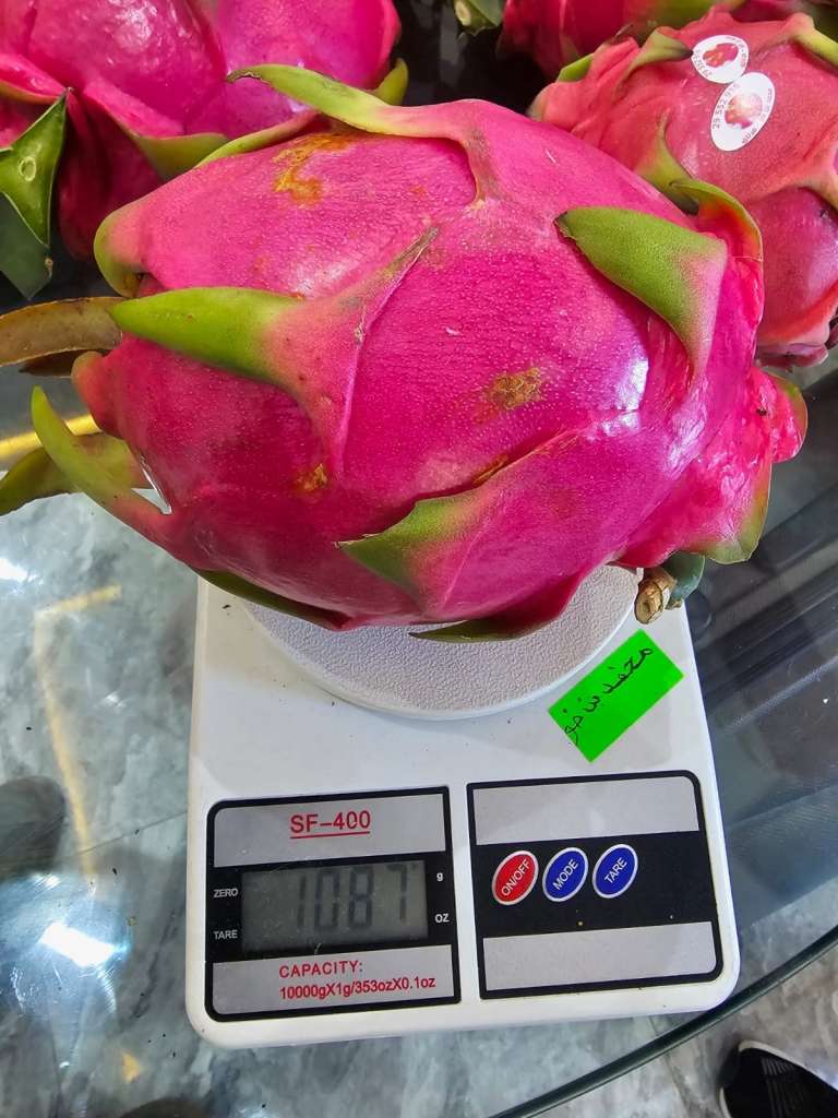 Dragon Fruit