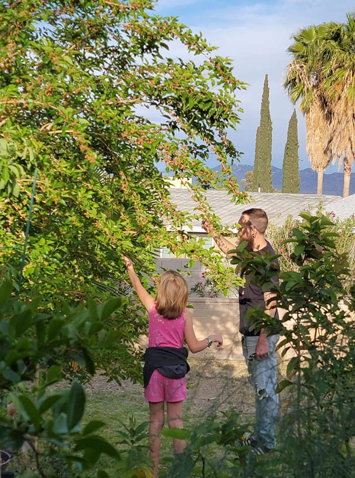 Best Plants to Grow with Kids