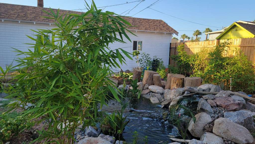 How to Start a Food Forest