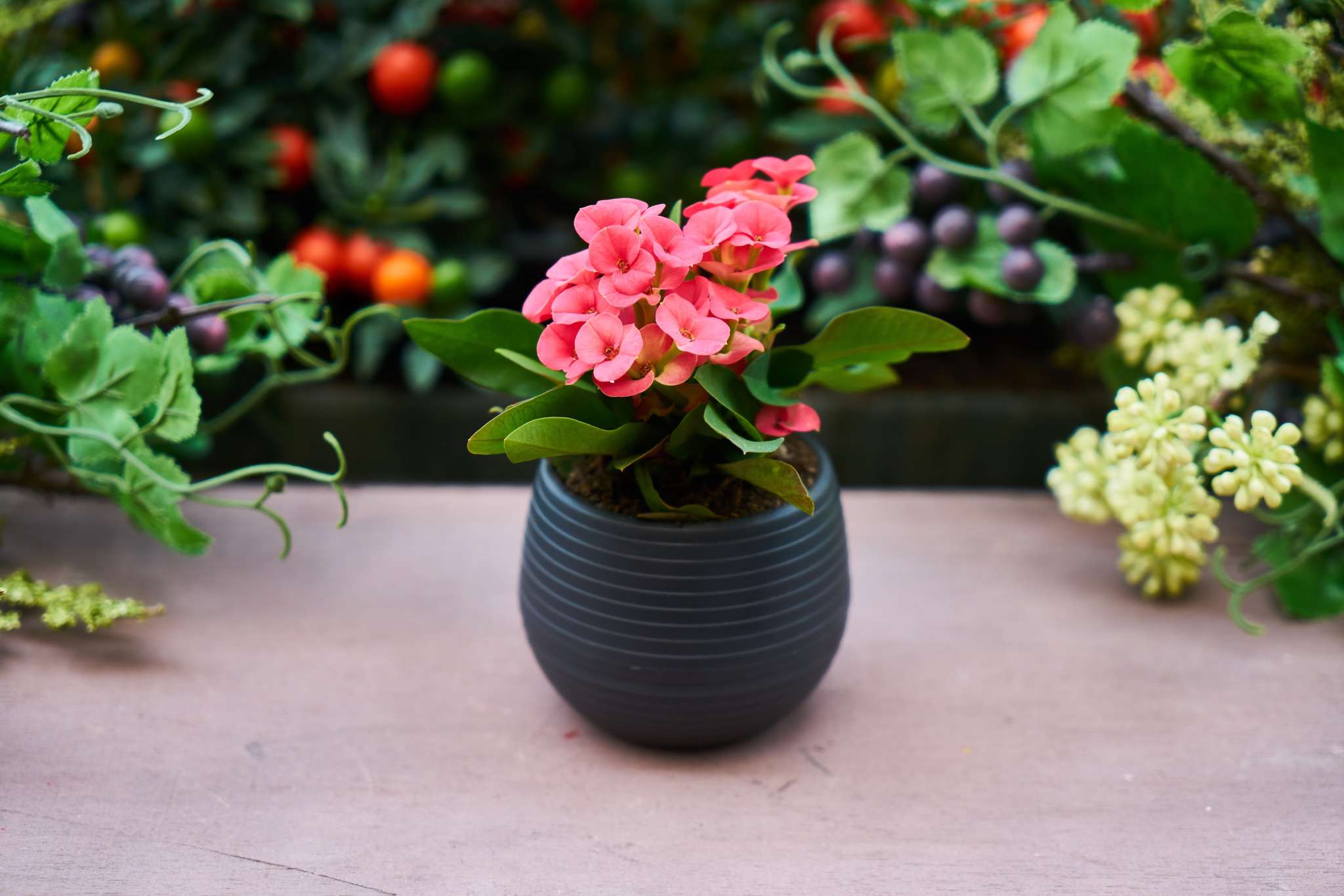 10 Deer Resistant Annuals for Your Garden